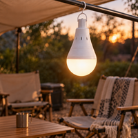 Emberwell LED bulb hanging from a canopy pole, lighting an outdoor seating area at sunset